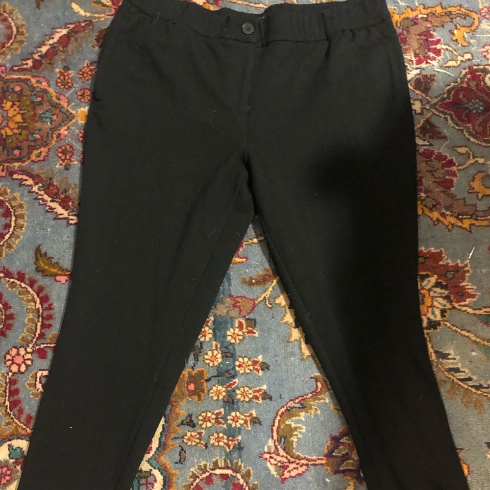 loft Ann Taylor pants